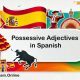 Possessive Adjectives in Spanish